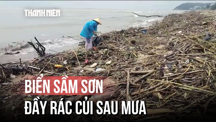Rác thải, thân cây 'bịt kín' đường ra khơi biển Sầm Sơn