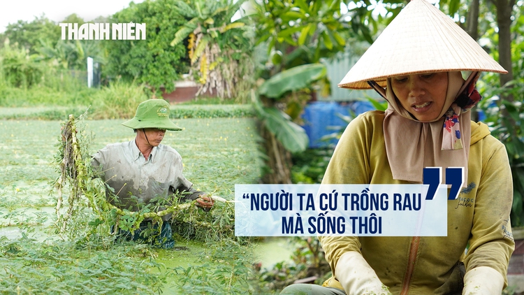 Sau 27 năm quy hoạch công viên, cuộc sống giữa những ruộng rau nhút ở Thới An giờ ra sao?