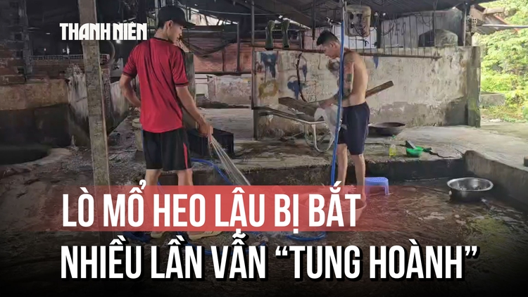 Lò mổ heo lậu sát khu công nghiệp: Bị bắt quả tang, ký cam kết rồi vẫn ngang nhiên hoạt động?