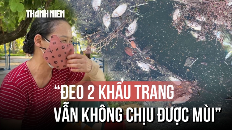 Ám ảnh mùi cá chết tại hồ Công viên Nghĩa Đô: 'Đeo 2 khẩu trang vẫn không chịu được mùi'