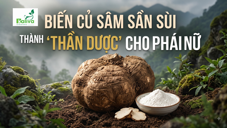 Cùng sống xanh 164: Theo chồng ở Hoàng Liên Sơn, cô ba Hồng biến sâm tố nữ thành chất giúp phụ nữ đẹp hơn