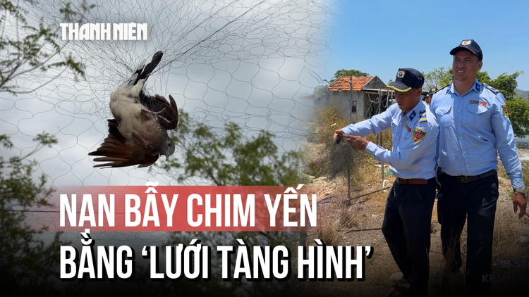 Khánh Hòa mạnh tay ngăn nạn săn bắt chim yến bằng ‘lưới tàng hình’