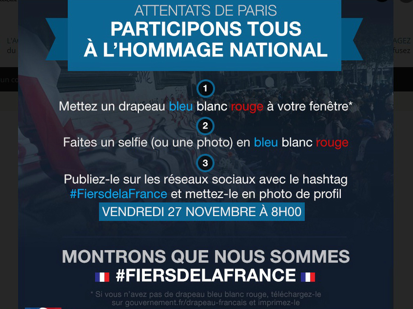 Lời kêu gọi người dân phủ cờ Pháp lên mạng xã hội - Ảnh chụp màn hình trang web chính phủ Pháp