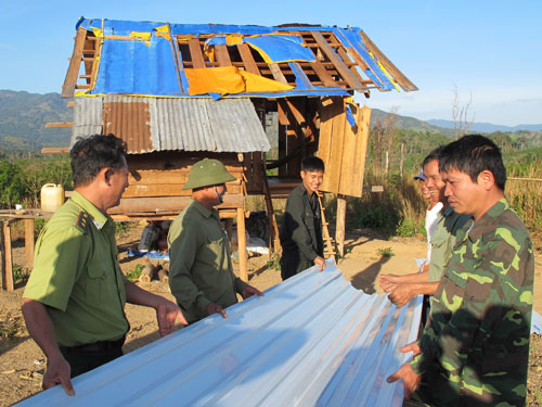 Đưa tôn đến với những hộ dân nghèo khó - Ảnh: Lê Công Sơn