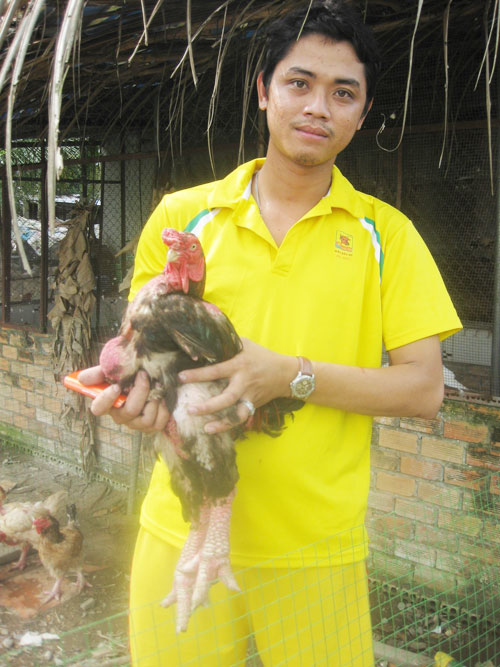Đặng Nhật Trường thành công với gà Đông Tảo - Ảnh: An Lạc