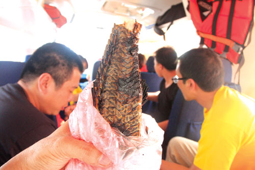 Một con cá sấu tầm 2 kg được đánh bắt thủ công, nướng và bán cho khách ở bến tàu Nauta - Ảnh: An Nguyên