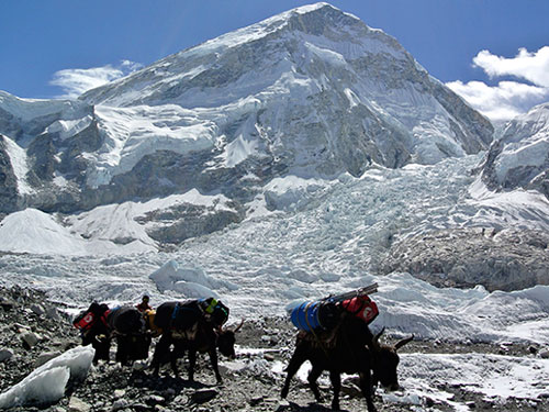 Một cảnh tượng trong tour ảo lên đỉnh Everest trên website Street View - Ảnh: Reuters