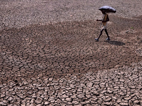 Nhiều khu vực ở Ấn Độ hứng nắng nóng, trở nên khô hạn do - Ảnh: AFP