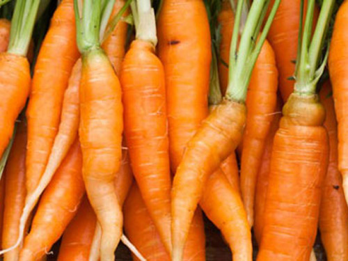 Bổ sung cà rốt trong chế độ dinh dưỡng giúp cải thiện làn da - Ảnh: Shutterstock
