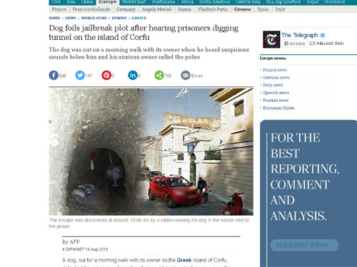 Đường hầm được phát hiện nhờ sự tinh nhanh của con chó trên đảo Corfu - Ảnh chụp màn hình báo The Telegraph