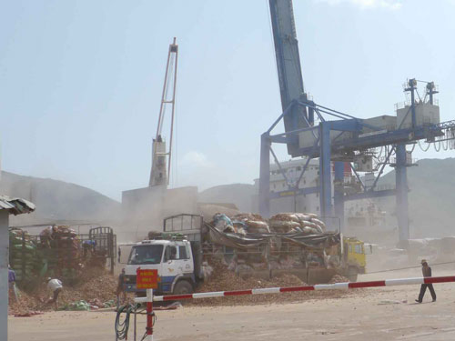 Nhập mì lát vào container để xuất khẩu ở Tân Cảng Miền Trung (TP.Quy Nhơn, Bình Định) - Ảnh: Hoàng Trọng