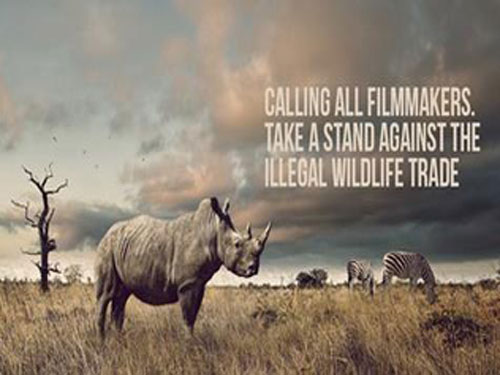 Poster của WildFest kêu gọi bảo vệ động vật hoang dã - Ảnh: BTC