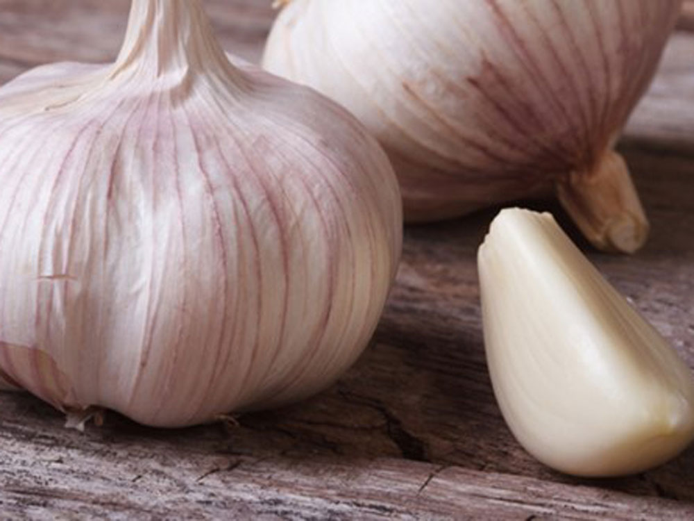Trong khi đó, ăn tỏi có tác dụng loại bỏ tình trạng cơ thể ngầy ngật do ảnh hưởng của cồn - Ảnh: Shutterstock 