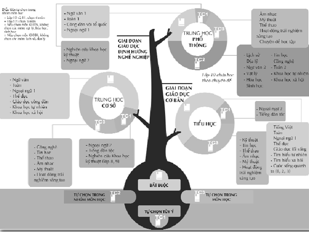 Chương trình giáo dục phổ thông mới - Đồ họa: Hồng Kỳ