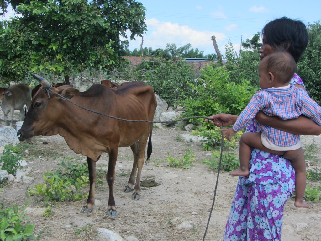 Xã vẫn “ép” dân mua bò