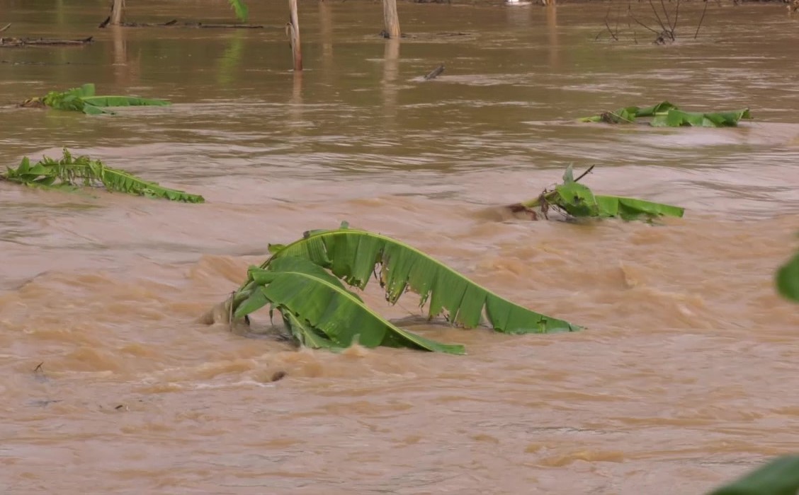 Bình Phước: Nước lũ về đột ngột, sơ tán dân khẩn cấp ra khỏi vùng ngập 
