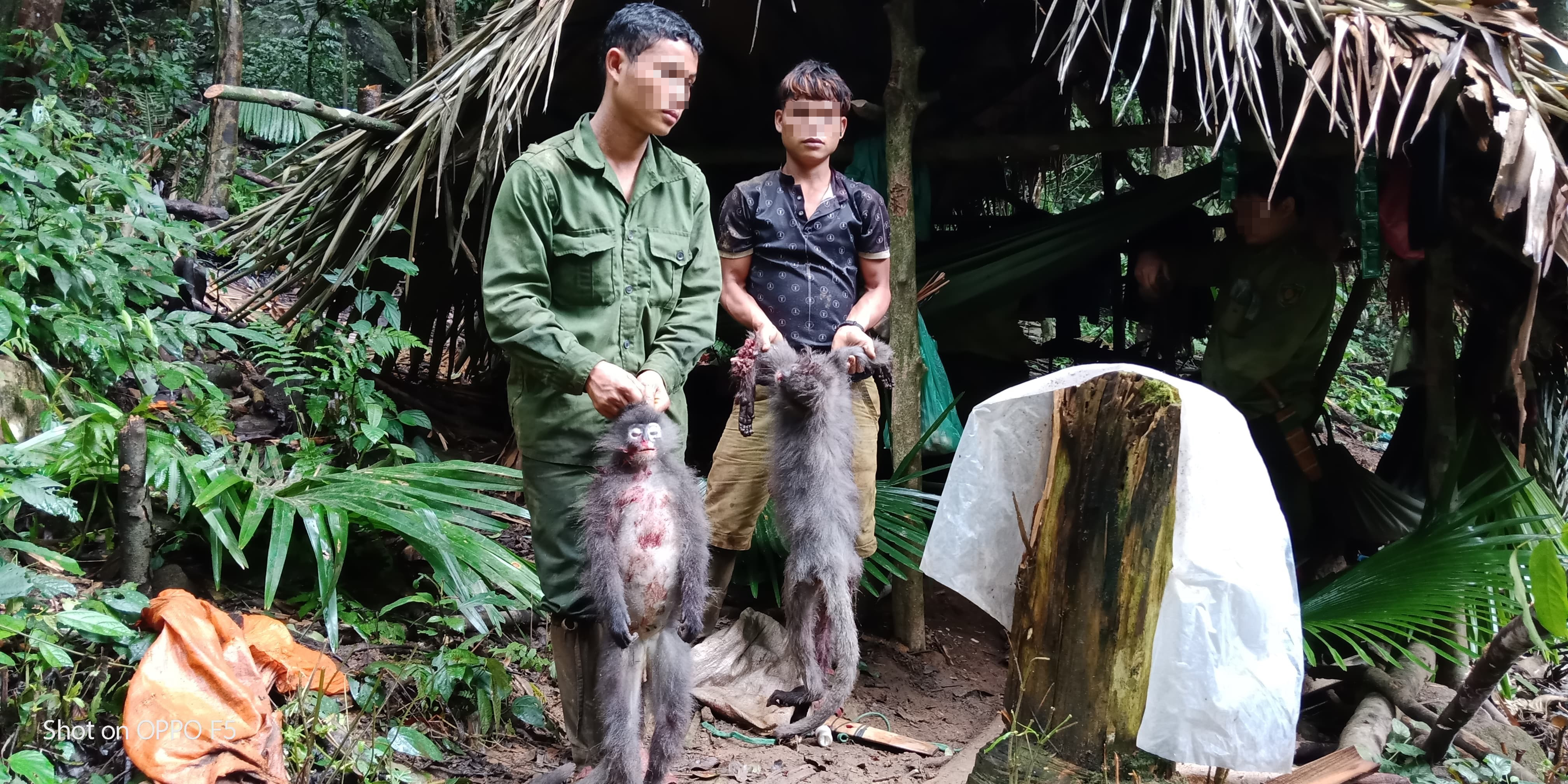 “Biệt đội” giải cứu thú rừng: Lâm tặc trả nợ rừng