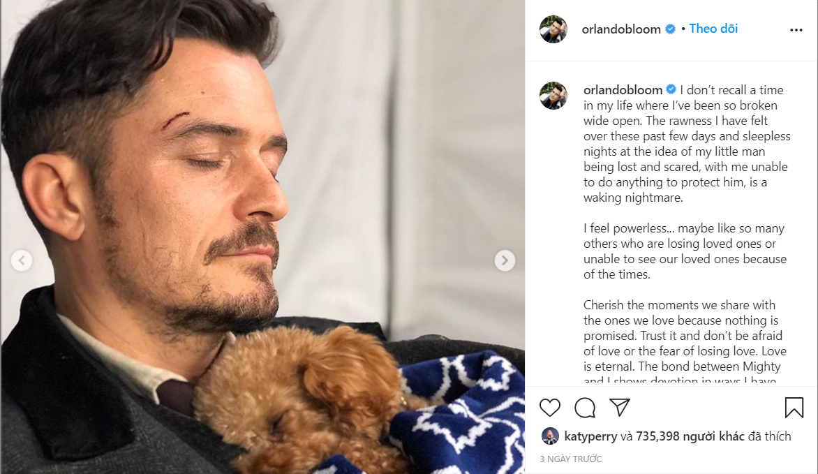 Orlando Bloom xăm tên chó cưng đã qua đời lên ngực