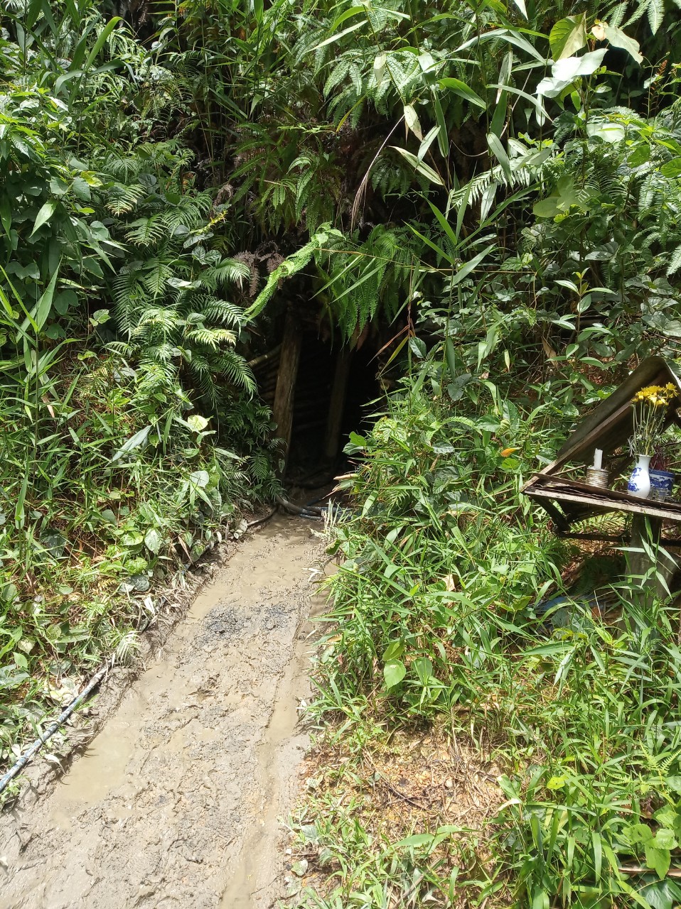 Triệt phá nhiều tụ điểm khai thác vàng trái phép ở Đắk Nông