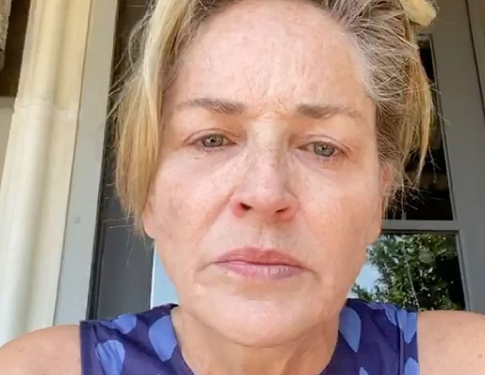 Sharon Stone lên án người không đeo khẩu trang khi em gái dương tính Covid-19
