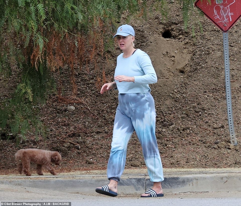 Katy Perry xuề xòa dạo phố sau 2 tháng sinh con