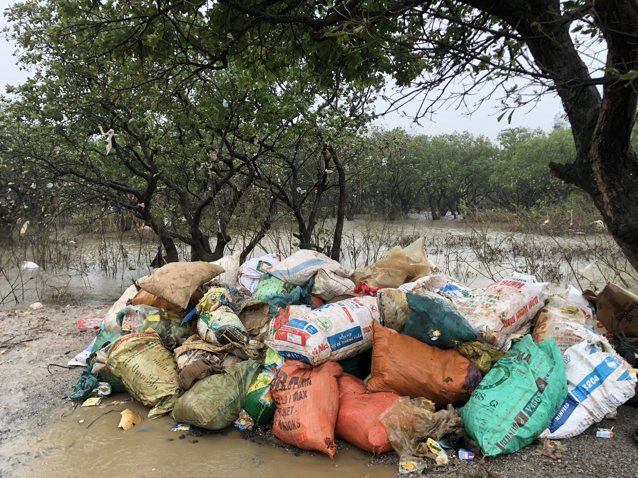 Mua rác của người dân trong vùng lũ Quảng Bình