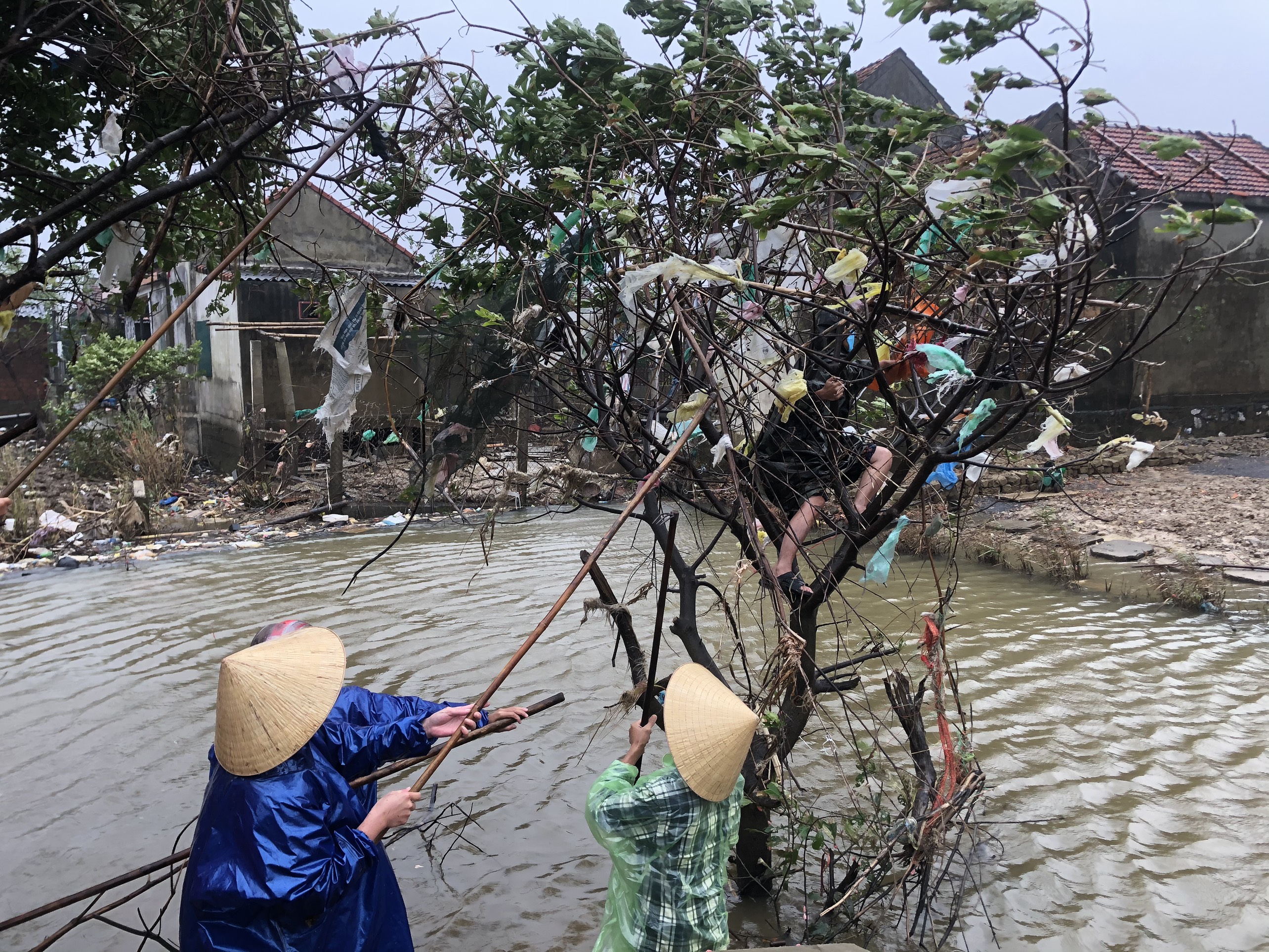 Mua rác của người dân trong vùng lũ Quảng Bình