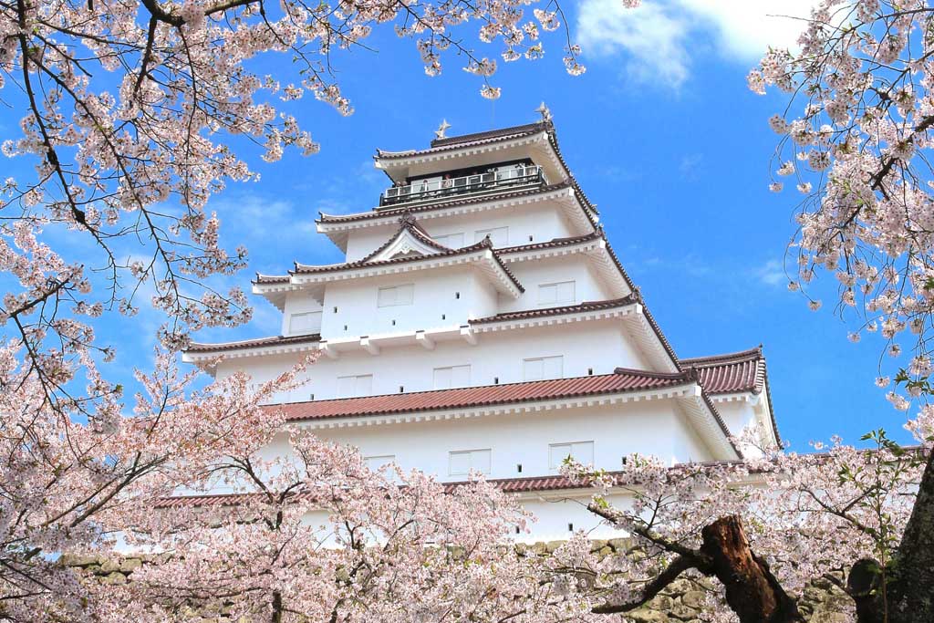 Nhật Bản - điểm đến ngắm hoa anh đào lý tưởng nhất thế giới