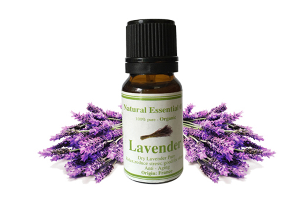 Tinh dầu Lavender