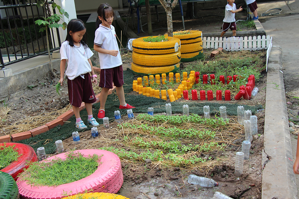 Trồng và chăm sóc vườn rau là một trong những hoạt động yêu thích của học sinh AES trong giờ ra chơi. Các khu vườn được các em tự tay thiết kế và quy hoạch