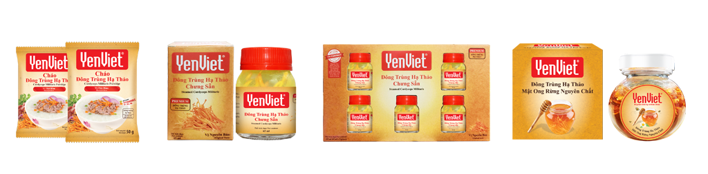 Các chế phẩm từ đông trùng hạ thảo (ĐTHT) mang thương hiệu YenViet sử dụng nguồn ĐTHT thuộc Trung tâm nuôi cấy công nghệ cao VietFuji - Công ty thành viên của YenViet