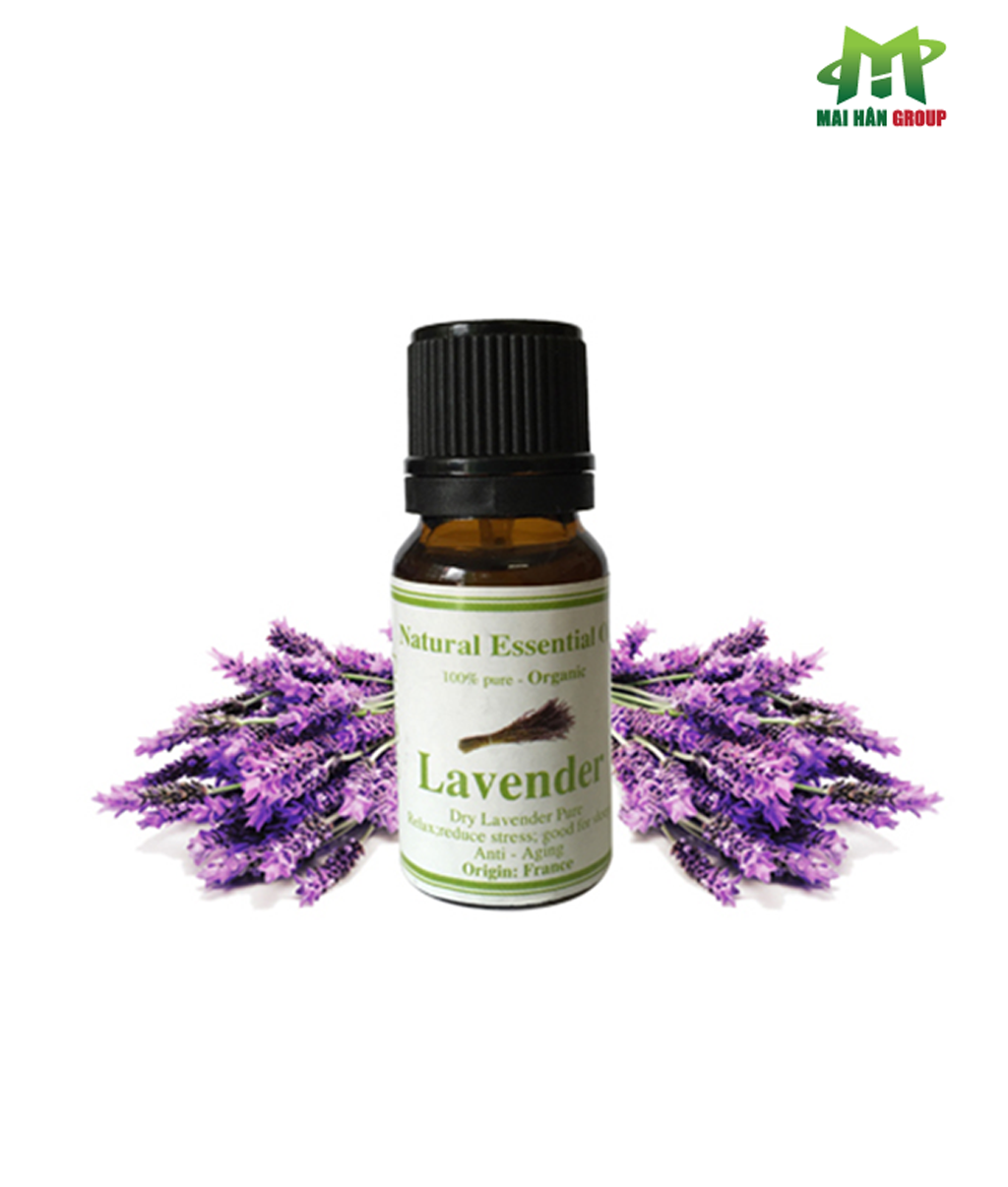Tinh dầu Lavender 