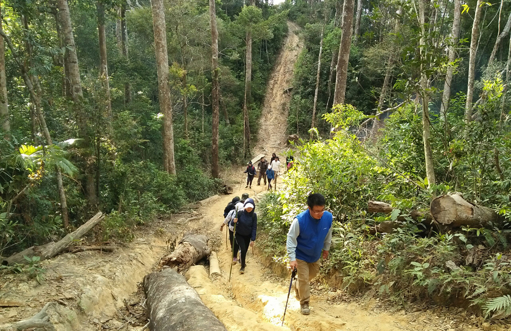 Tà Năng - Phan Dũng, cung đường trekking đẹp nhất Việt Nam là nơi lý tưởng để du khách trải nghiệm, khám phá 