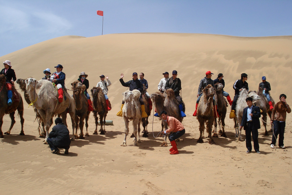 Cưỡi lạc đà khám phá sa mạc