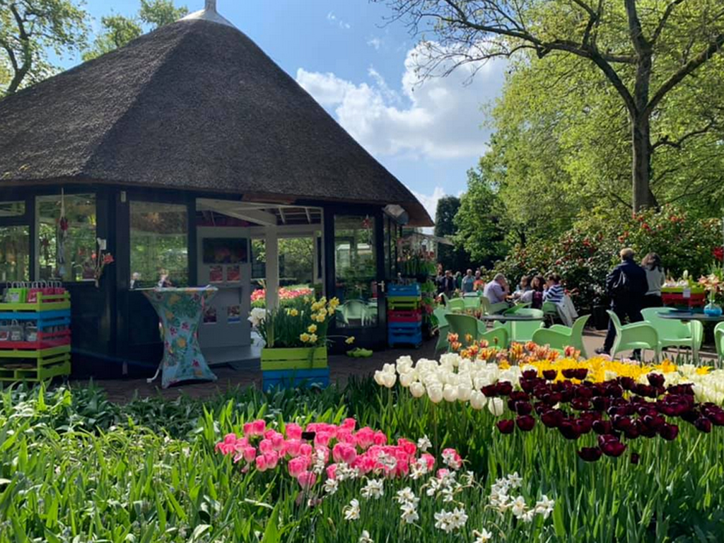 Đoàn du lịch Tugo tham quan công viên hoa Tulip Keukenhof đẹp nhất ở châu Âu 