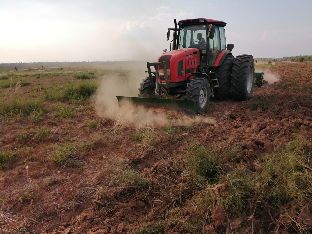 Sau khi chính thức tiếp nhận Nhà máy phức hợp Đường - Cồn - Điện tại Campuchia, TTC Sugar đã tiến hành làm đất, trồng mía giống trên quy mô 150 ha