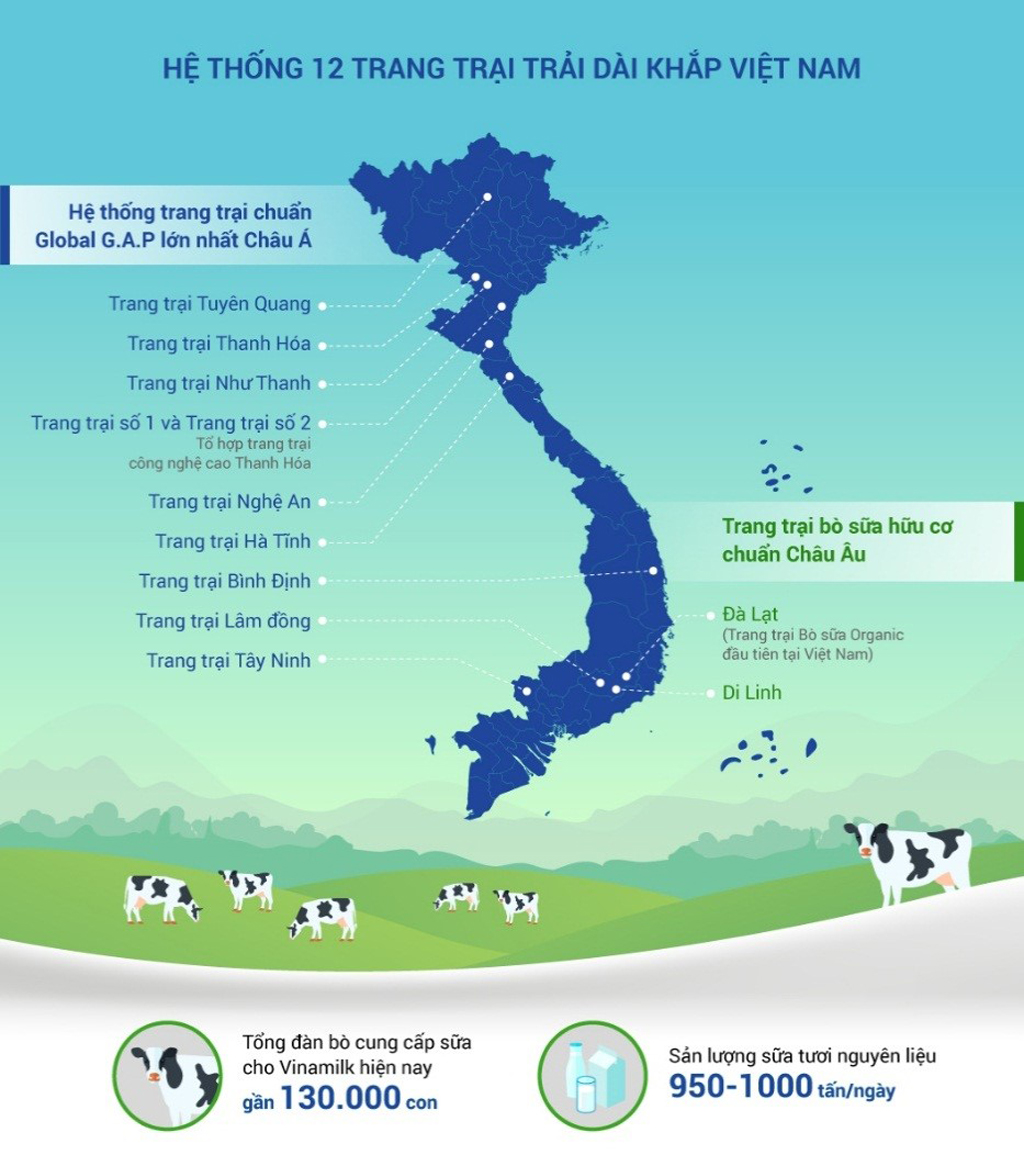 Hệ thống 12 trang trại bò sữa hiện hữu và đang được tiếp tục mở rộng về quy mô của Vinamilk