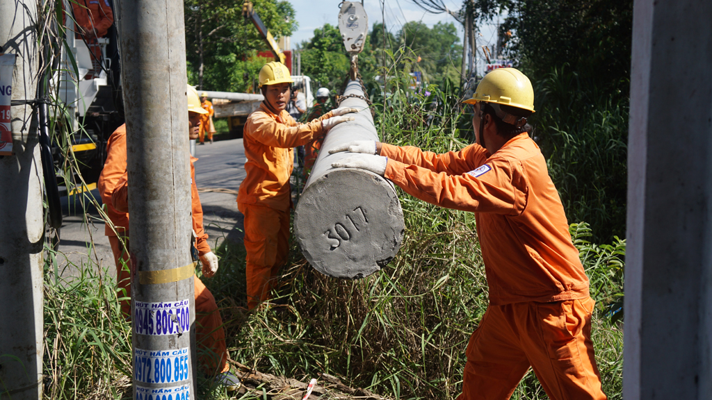 Lực lượng công nhân điện của các đơn vị phối hợp khắc phục sự cố lưới điện do bão nhằm tái lập điện an toàn cho khu vực 