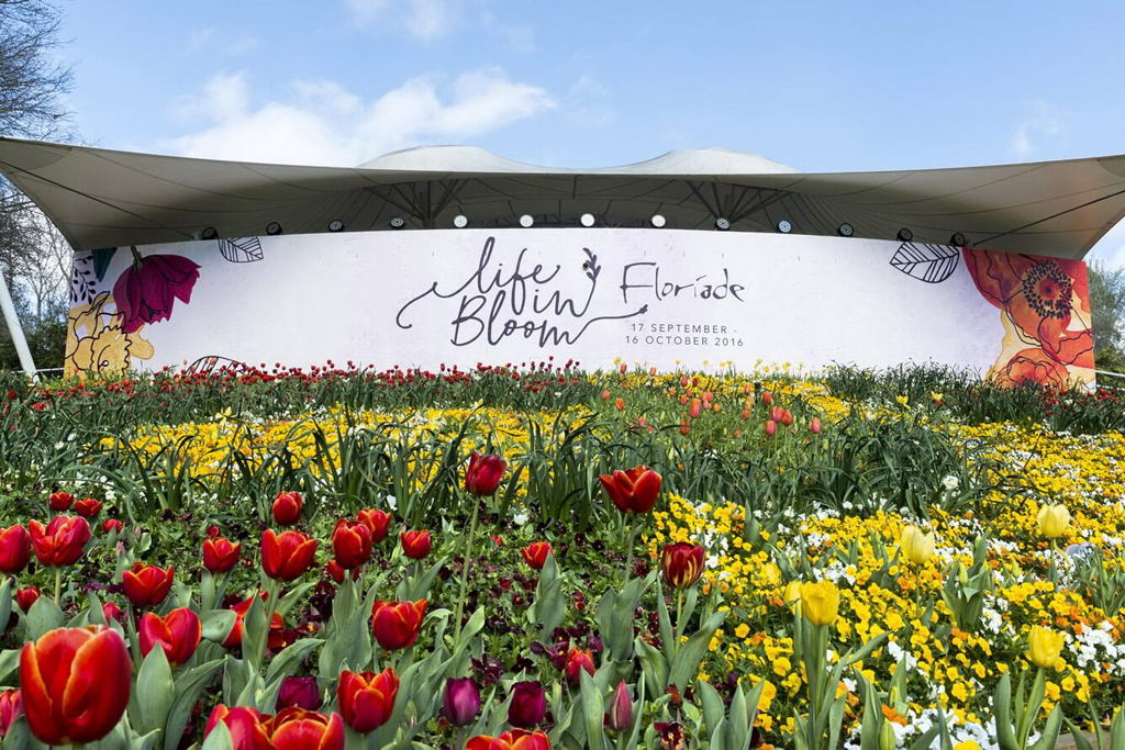  Lễ hội hoa Floriade thành phố Canberra