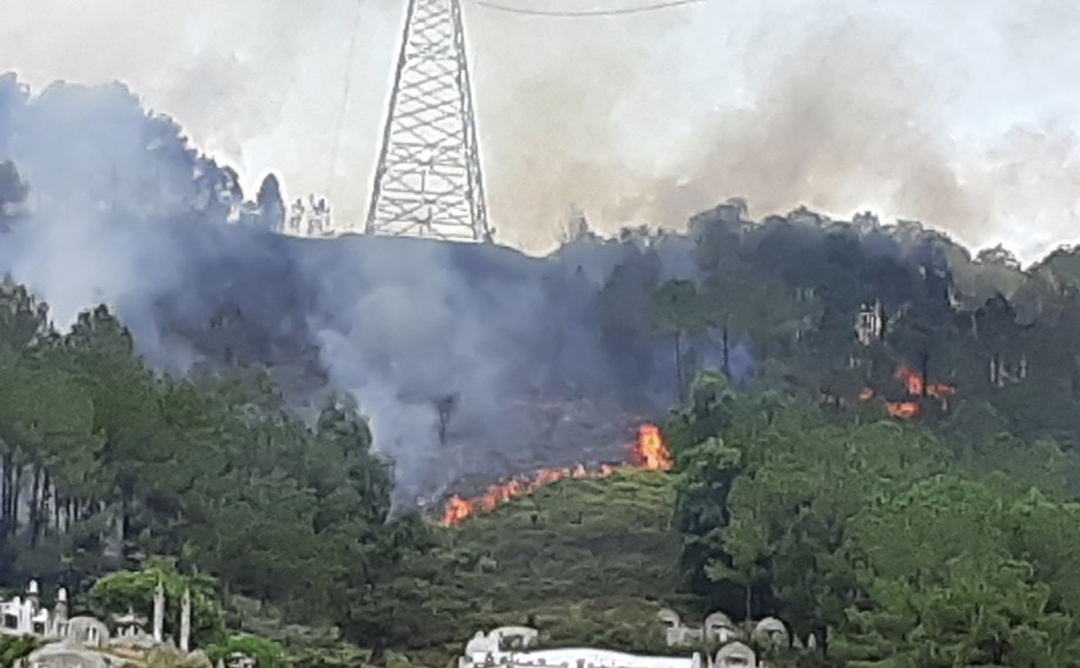 Một số hình ảnh cháy rừng gây nguy hiểm vận hành đường dây 220 kV