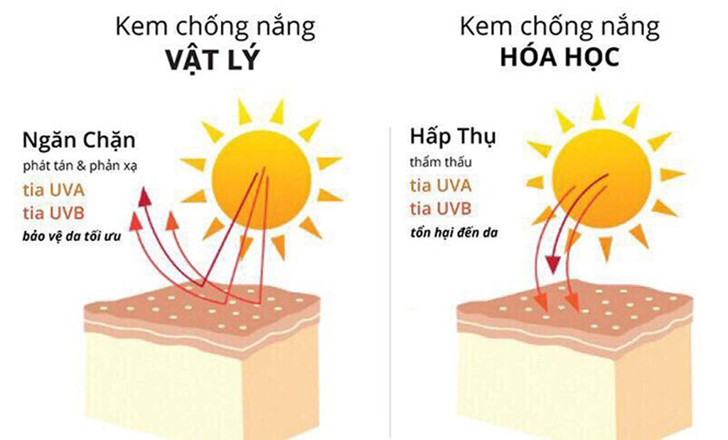 Kem chống nắng có 2 loại chính là kem chống nắng vật lý và kem chống nắng hóa học