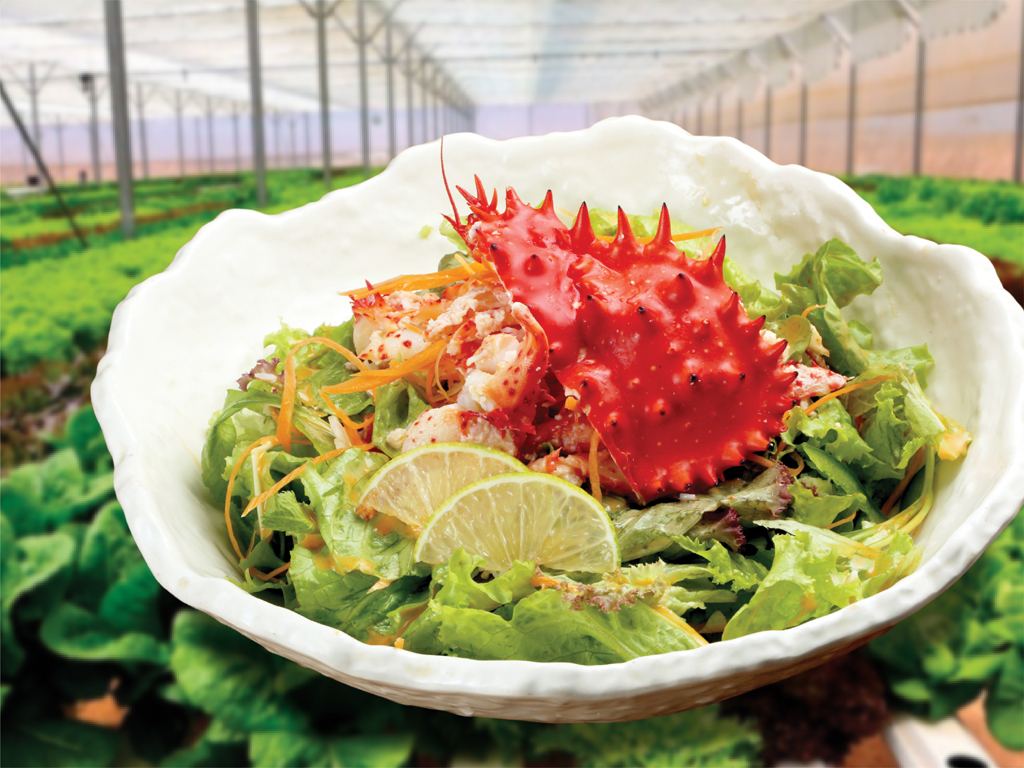 Hanasaki Salad (Salad cua Hanasaki): với hàng loạt các món được chế biến từ cua Hanasaki, thì thực khách được cân bằng lại bằng rau xanh tươi mát lấy trực tiếp từ trang trại rau của nhà hàng Sushi Hokkaido Sachi - sốt chua ngọt - cùng thịt cua Hanasaki hảo hạn chắc chắn là sự lựa chọn không thể bỏ lỡ