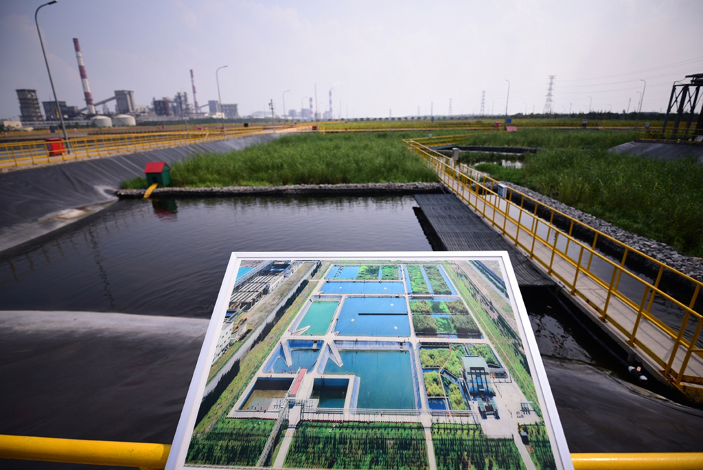Hệ thống hồ sinh học để xử lý nước thải của Nhà máy Formosa