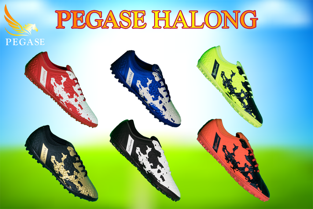  Bộ sưu tập Pegase Halong 