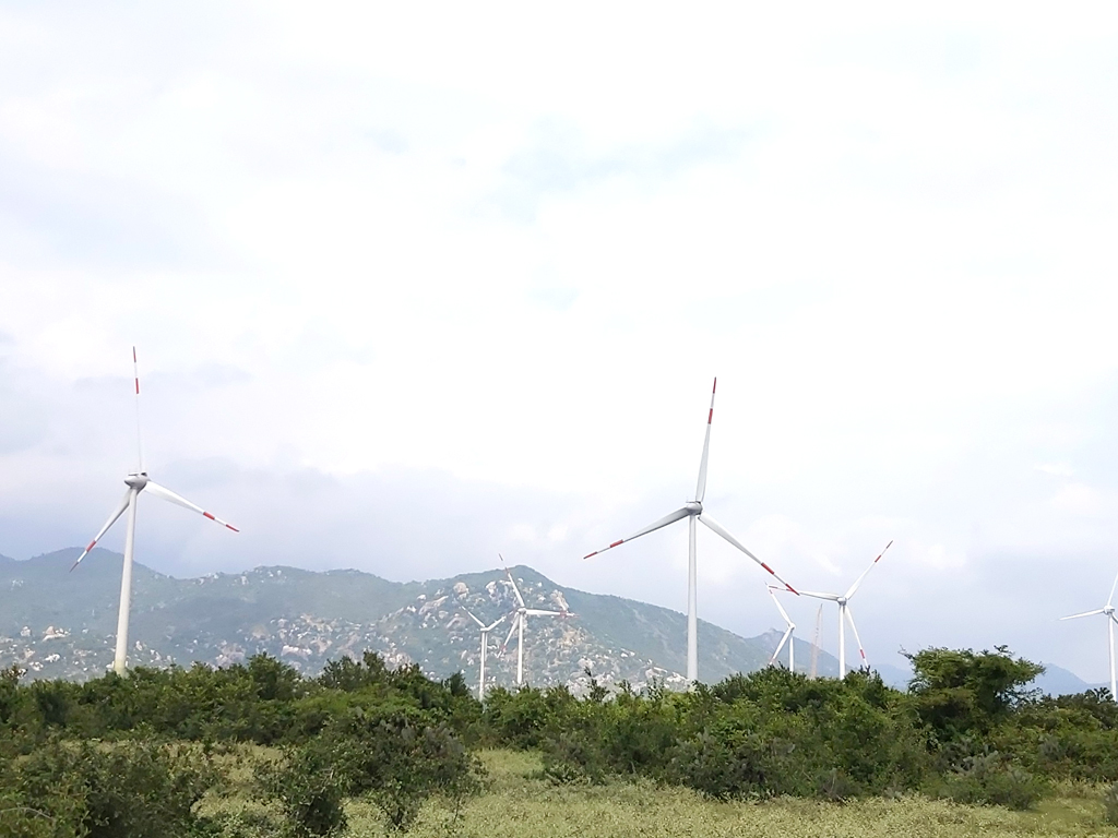 Một dự án điện gió tại Ninh Thuận - Nguồn ảnh: EVN