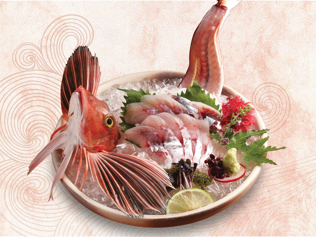 Houbou là loài cá hiếm, có giá cao nhưng rất xứng đáng để thưởng thức