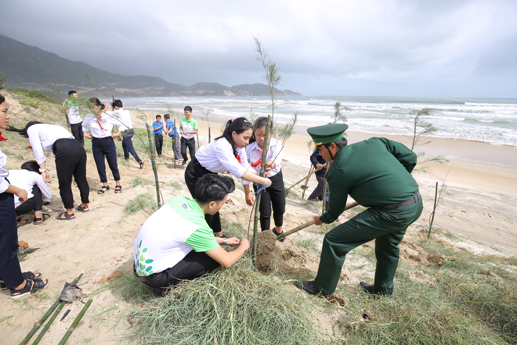Các em học sinh, các bạn đoàn viên thanh niên tỉnh Bình Định cùng trồng cây phi lao dọc bờ biển trong chương trình Quỹ 1 triệu cây xanh cho Việt Nam