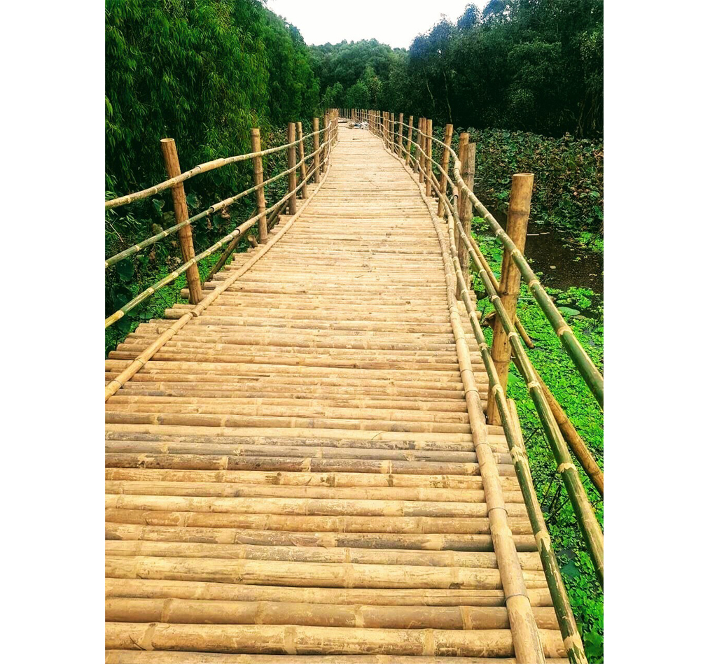 “Cầu tre vạn bước” xuyên rừng tràm Trà Sư có tổng chiều dài gần 10 km. Ảnh: Phước Lập