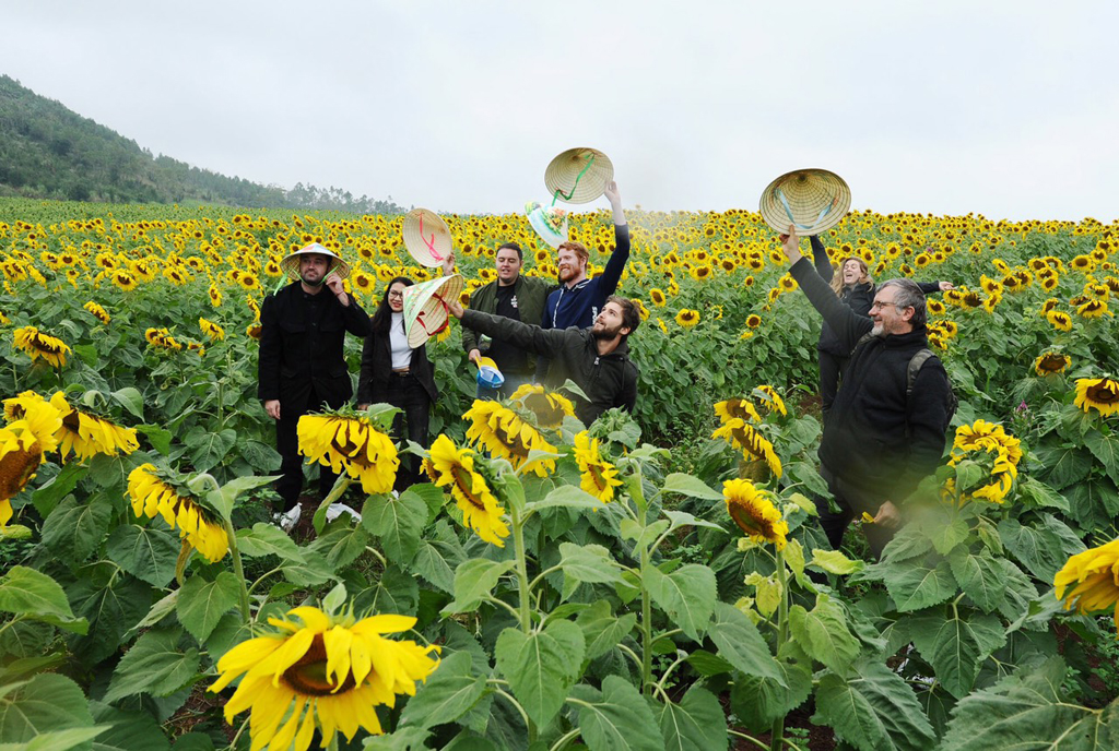 Nhiều khách nước ngoài cũng tìm đến tham cánh đồng hoa hướng dương tại trang trại của Tập đoàn TH