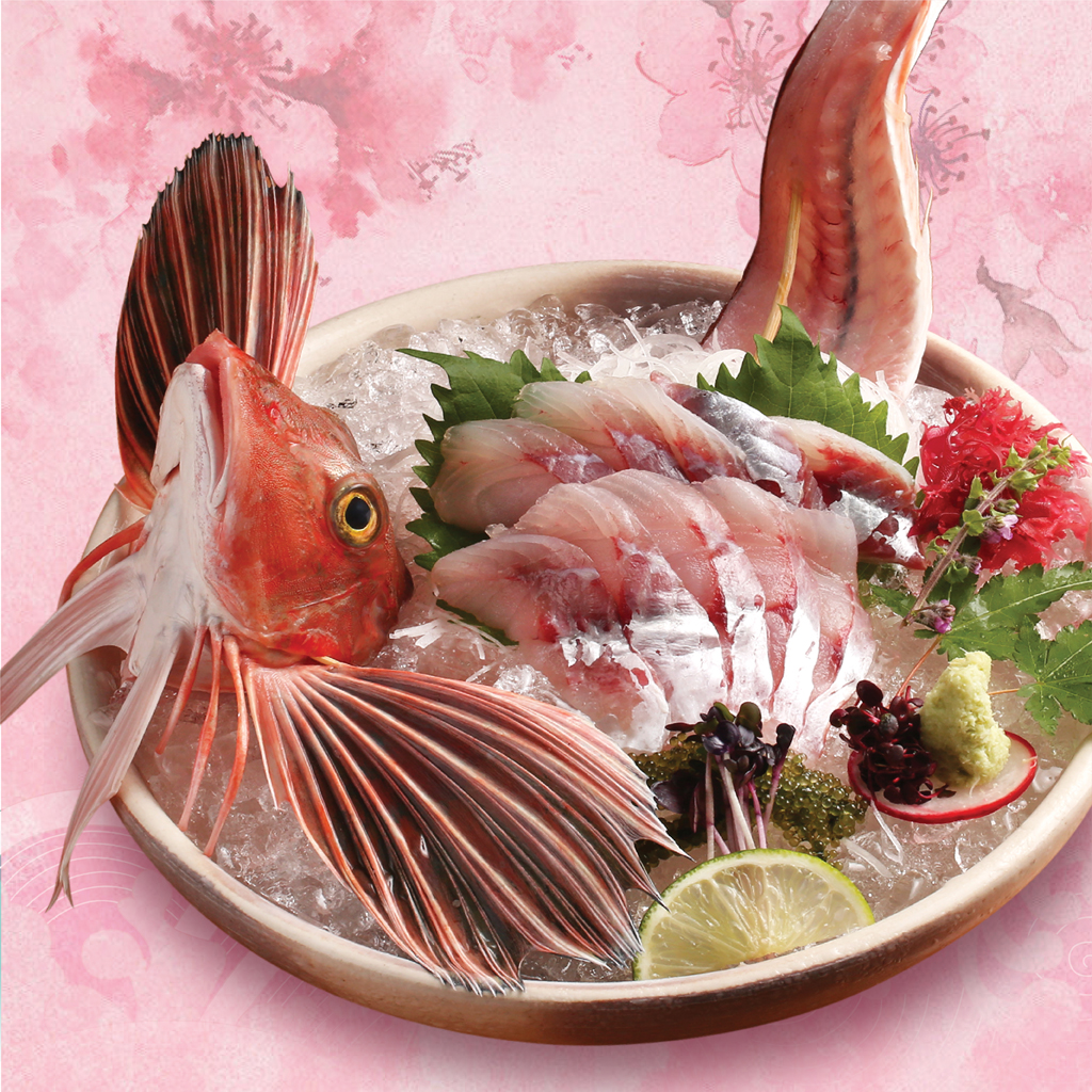 Hương vị Houbou tươi ngon, miếng thịt cá ánh hồng lấp lánh, chấm cùng tương Shouyu và chút wasabi, đó là nét đẹp của ẩm thực mùa xuân